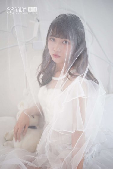 电视剧女婿难当